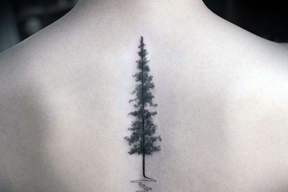 Tatuaje en la columna vertebral: árbol