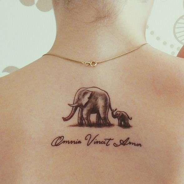 Tatuaje de elefante en la espalda