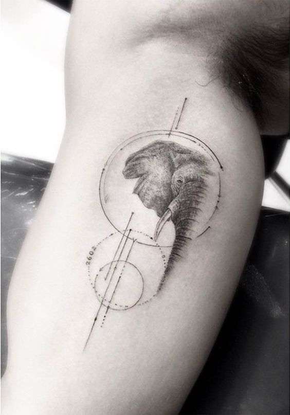 Tatuaje de elefante bosquejo