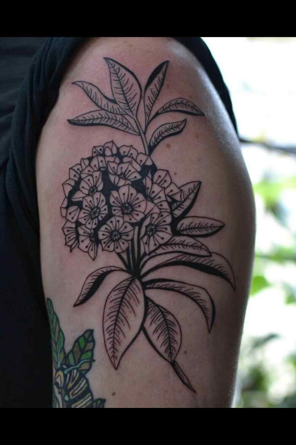 tatuajes de naturaleza