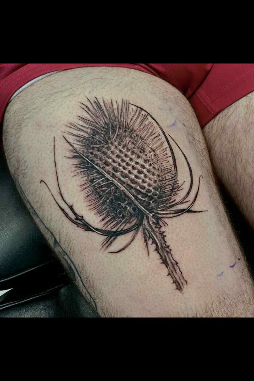 tatuajes de naturaleza