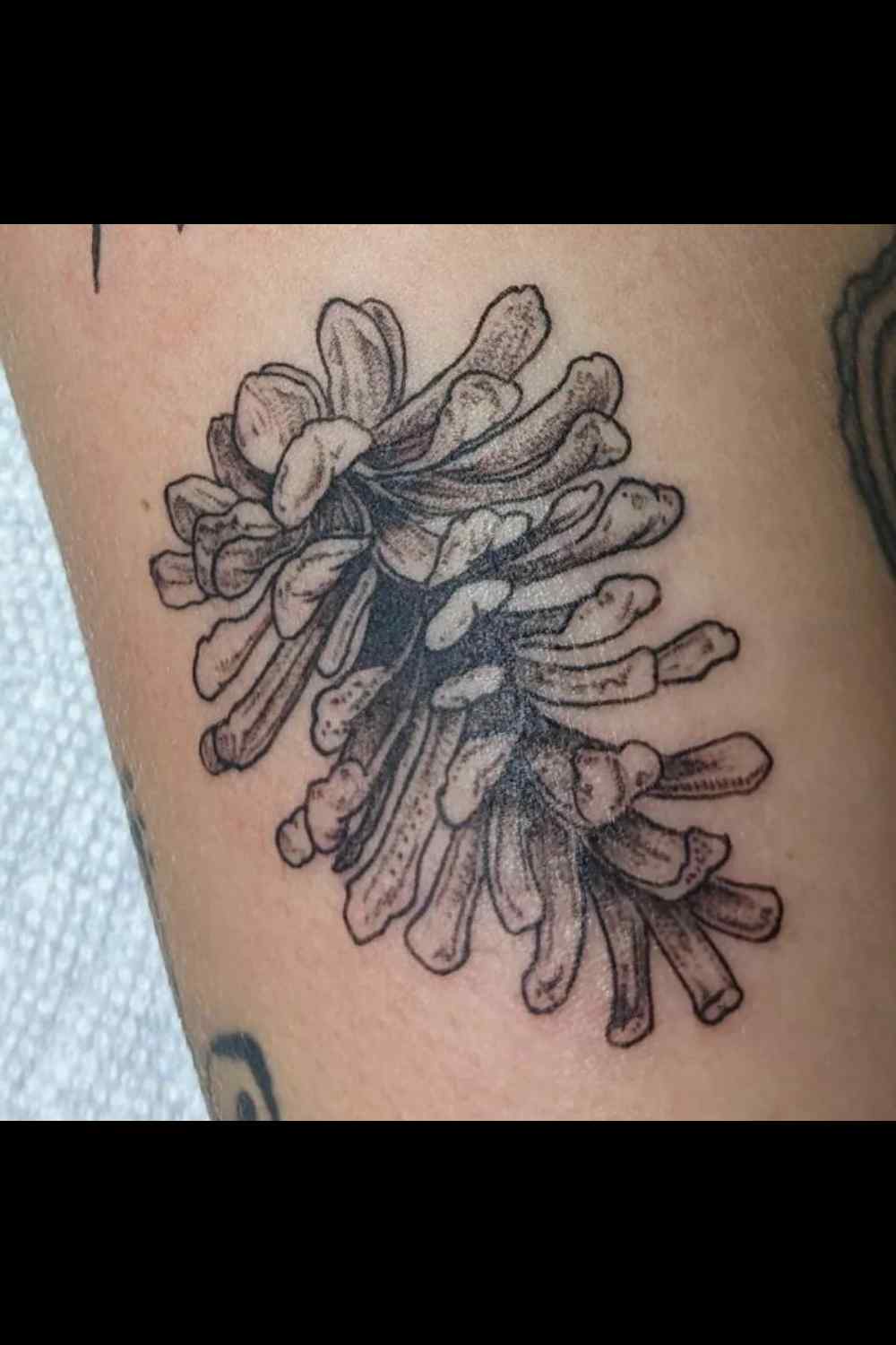 tatuajes de naturaleza